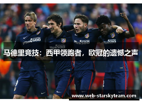 马德里竞技：西甲领跑者，欧冠的遗憾之声
